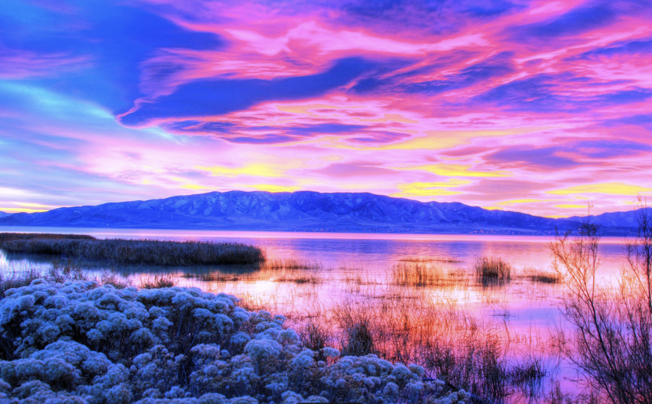 平台战略发布会