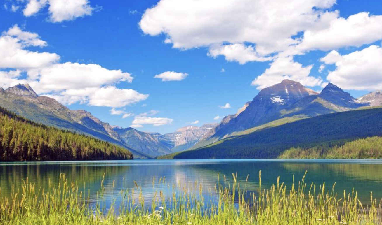 平台战略发布会